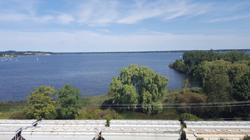 Muskegon Country Club | restaurant | 2801 Lakeshore Dr, Muskegon, MI 49441, USA | 2317553737 OR +1 231-755-3737