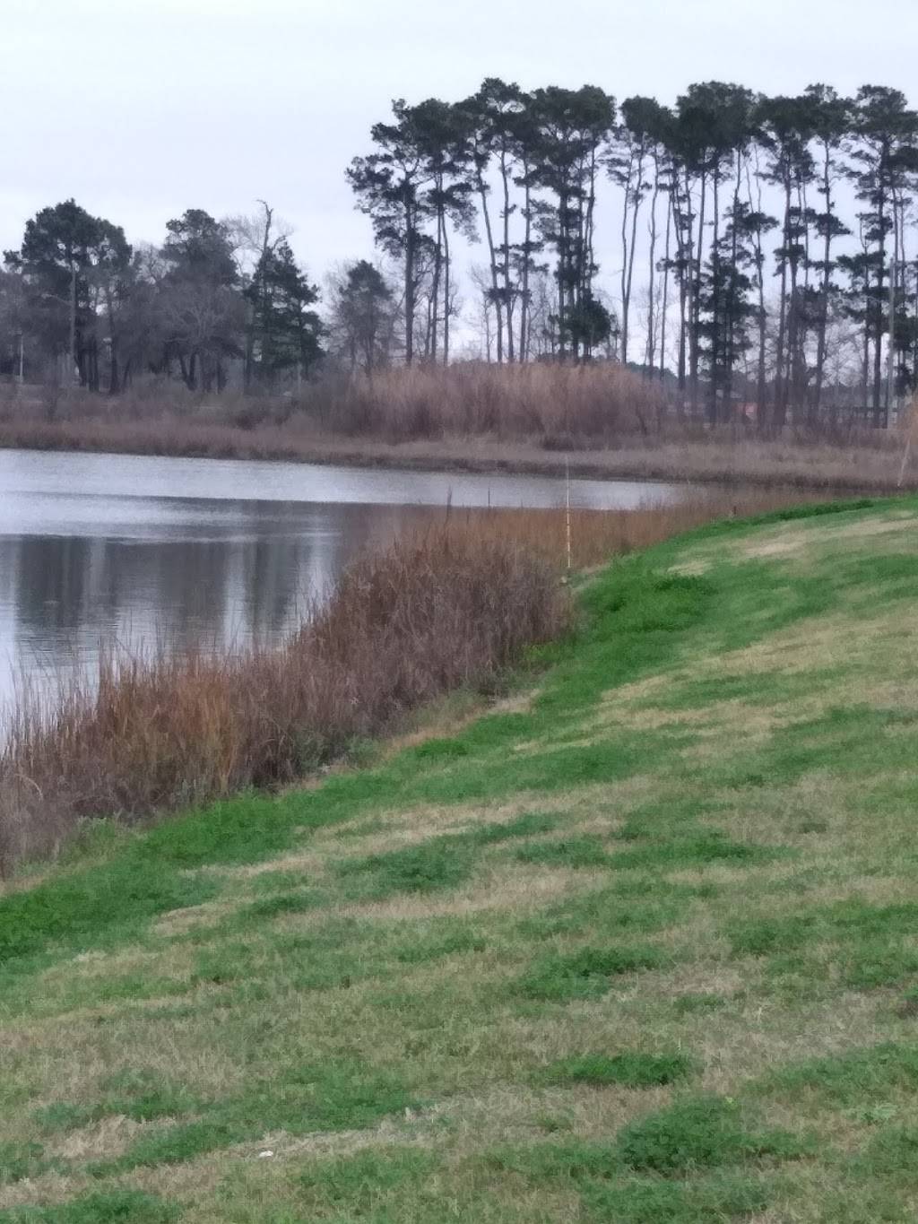 Whites Multicultural Center | restaurant | 307 N Erskine St, Angleton, TX 77515, USA | 9798644334 OR +1 979-864-4334