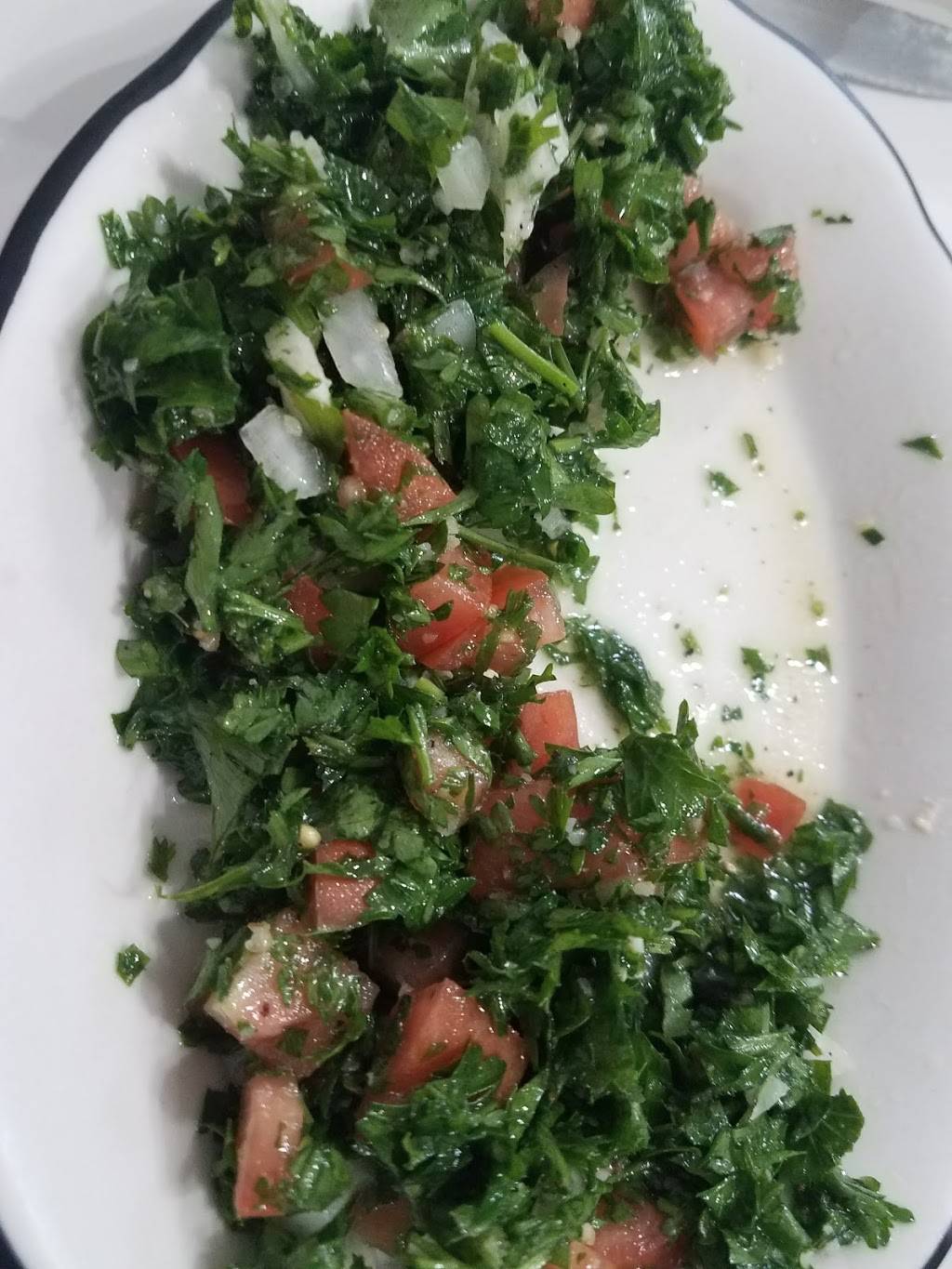 Damascus | restaurant | 449 N 2nd St, Allentown, PA 18102, USA | 6104322036 OR +1 610-432-2036