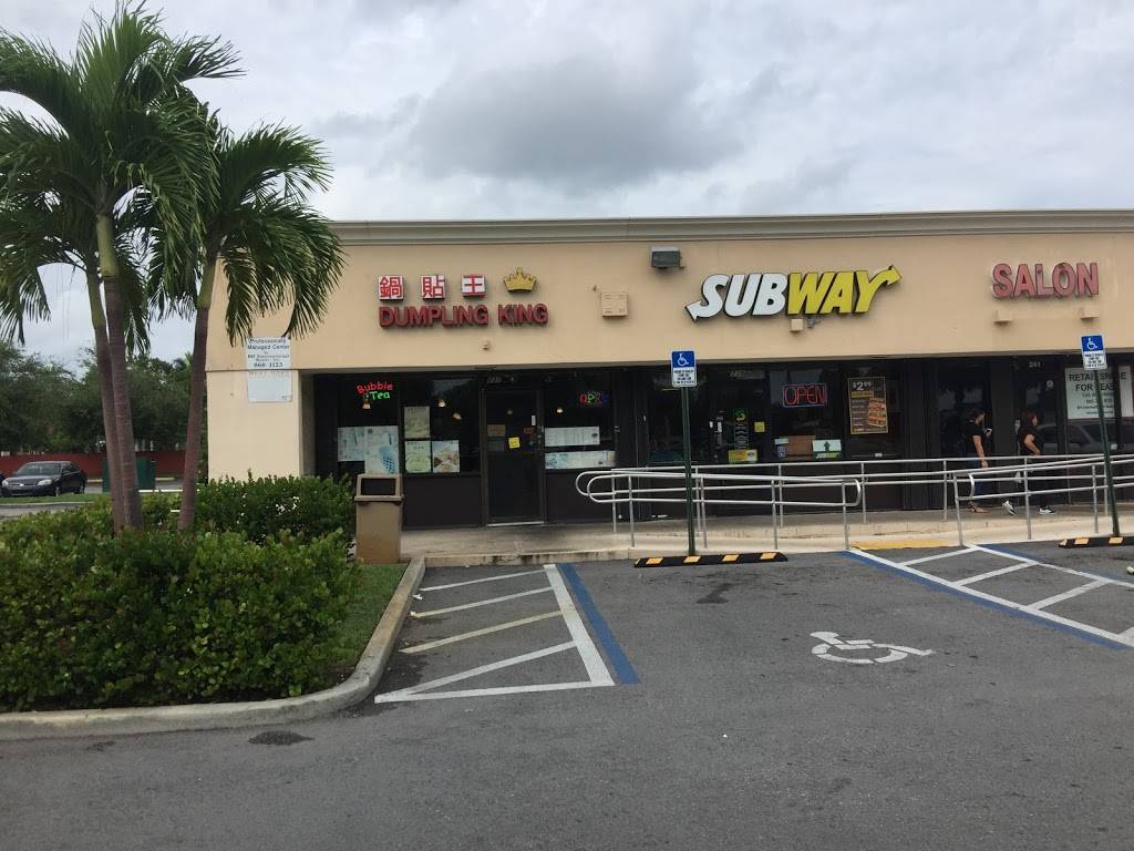 Dumpling King | restaurant | 237 NE 167th St, North Miami Beach, FL 33162, USA | 3056544008 OR +1 305-654-4008