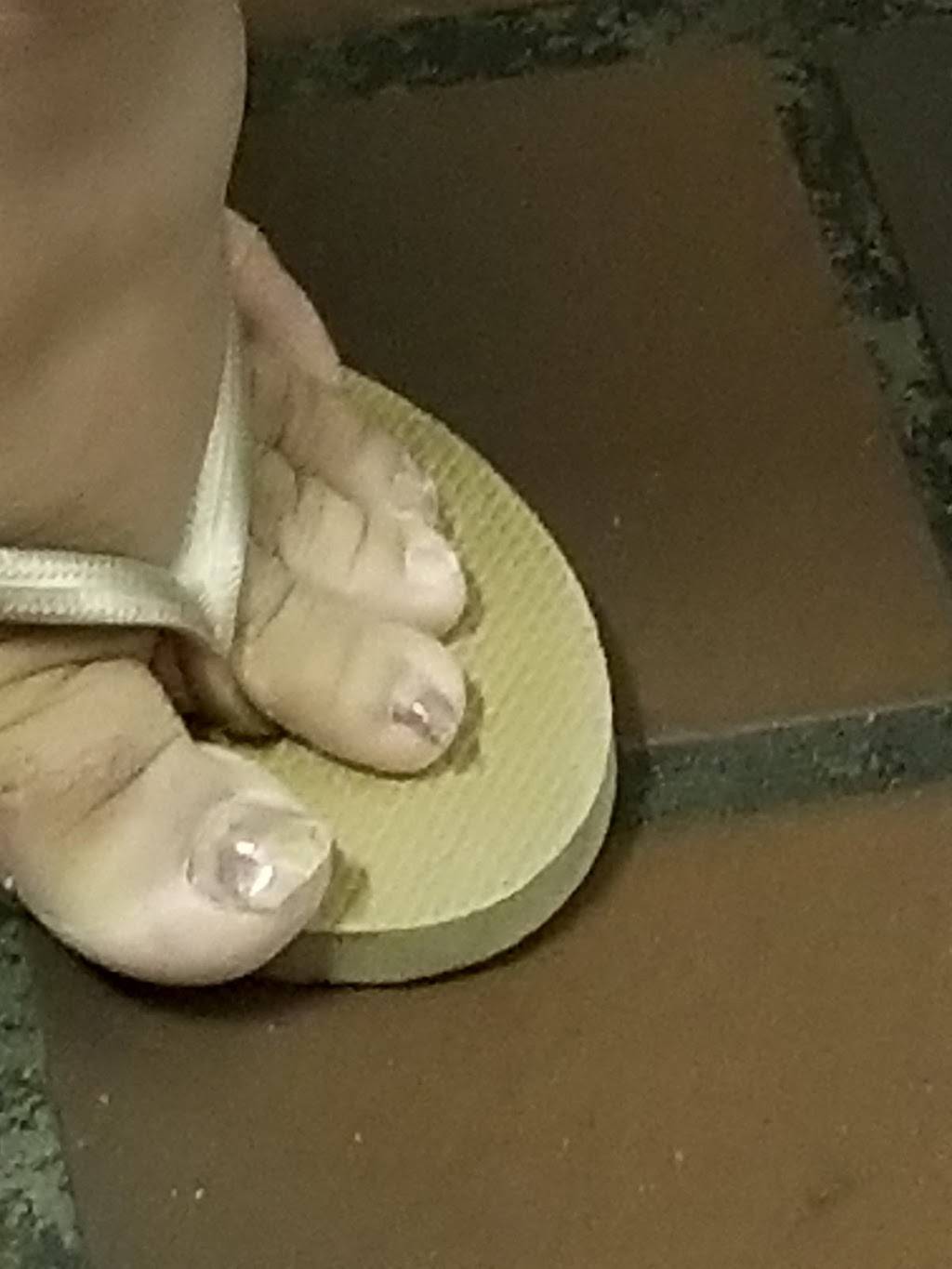 Canton Garden | meal delivery | 159 Kelley St, Manchester, NH 03102, USA | 6036260110 OR +1 603-626-0110