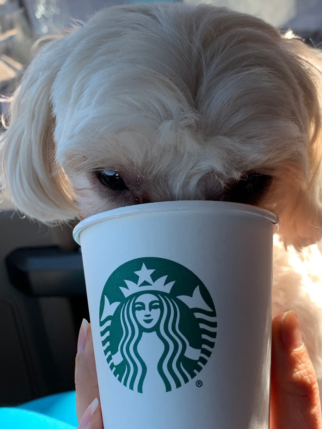 Starbucks | cafe | 1480 Central Park Village Dr bldg w, Eagan, MN 55122, USA | 6514050534 OR +1 651-405-0534