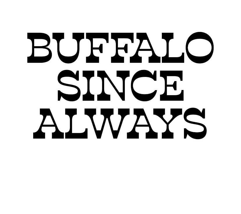 Mister Sizzles | restaurant | 346 Connecticut St, Buffalo, NY 14213, USA | 7169194949 OR +1 716-919-4949