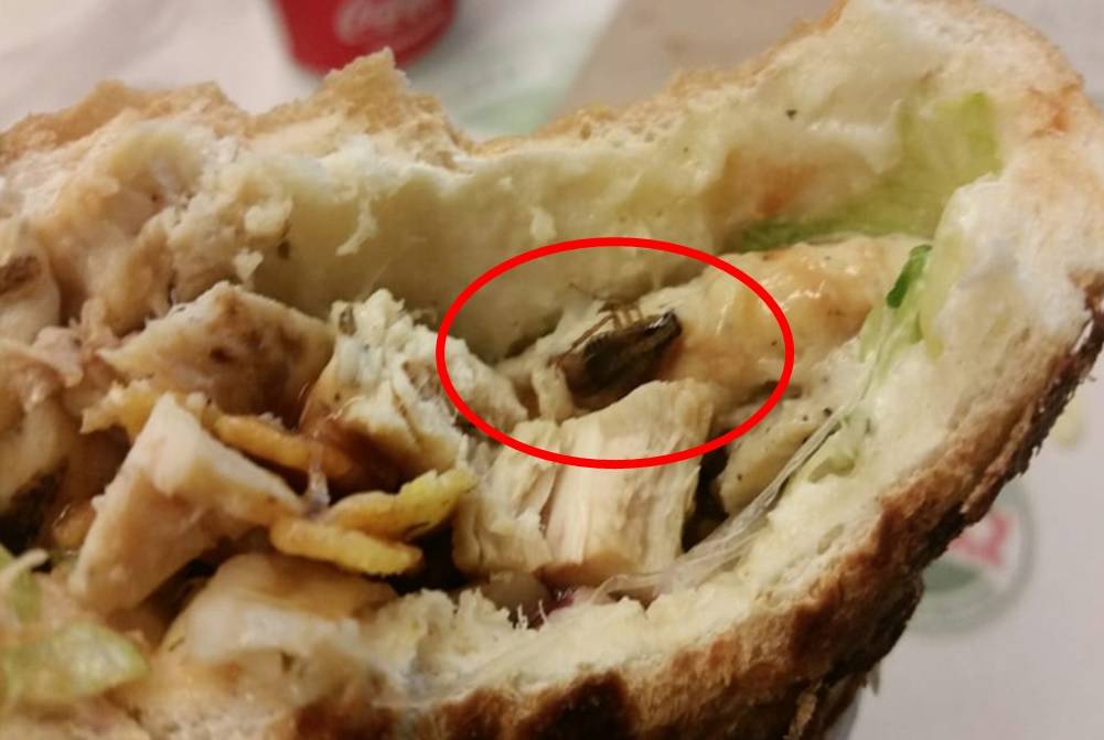 El Huarike Peruano | restaurant | 7371 NW 36th St, Miami, FL 33166, USA | 3054189088 OR +1 305-418-9088