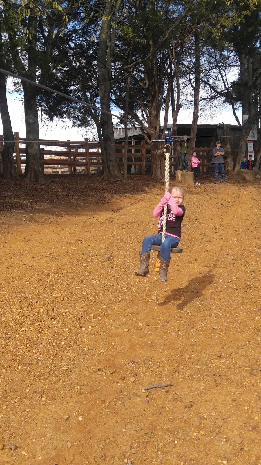 Cedar Hill Farm | restaurant | 8 Love Rd, Hernando, MS 38632, USA | 6624292540 OR +1 662-429-2540