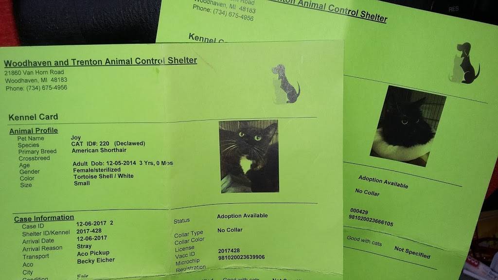 Benitos Pizza | restaurant | 37135 Willow Rd, New Boston, MI 48164, USA | 7346542003 OR +1 734-654-2003