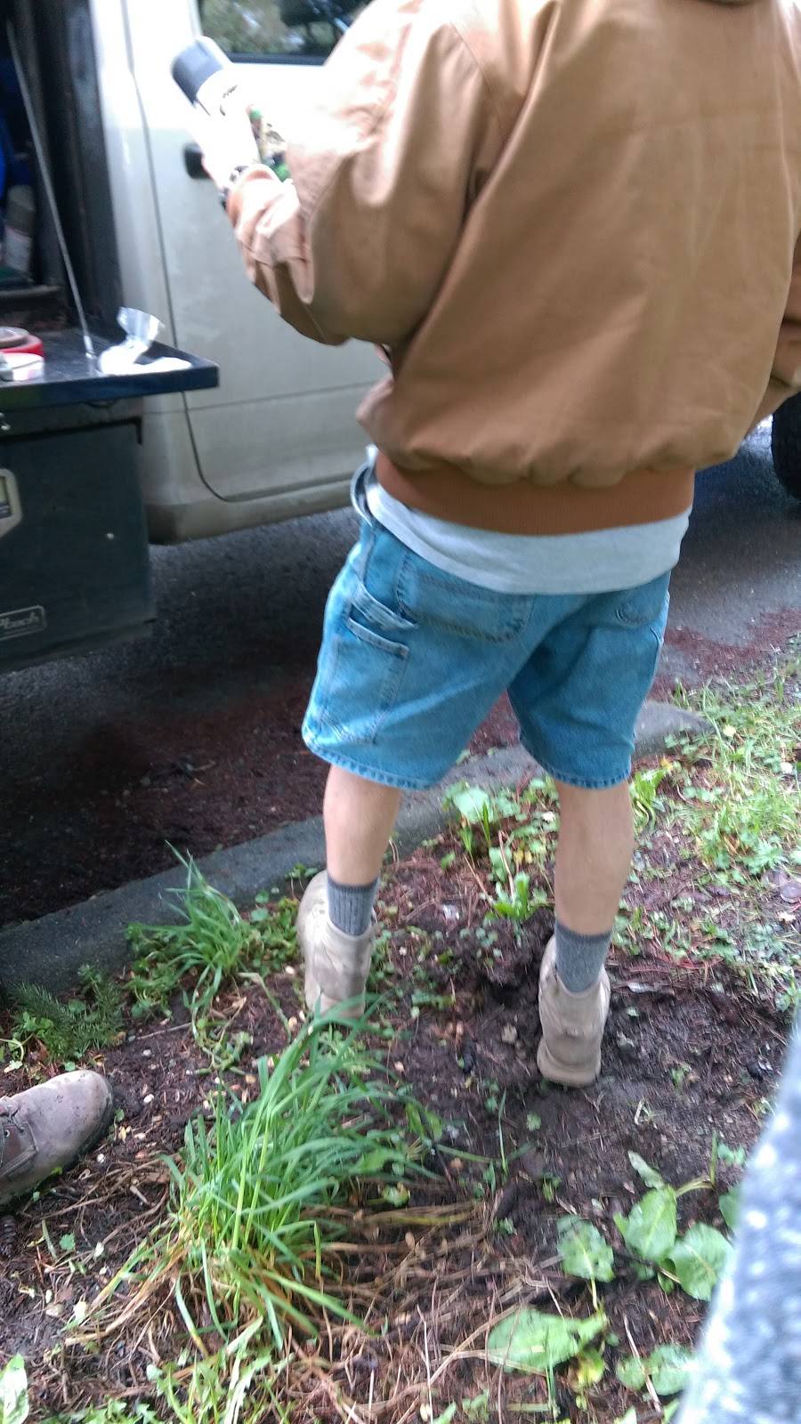 Jamba | restaurant | 10020 NE 137th St, Kirkland, WA 98034, USA | 4258219224 OR +1 425-821-9224