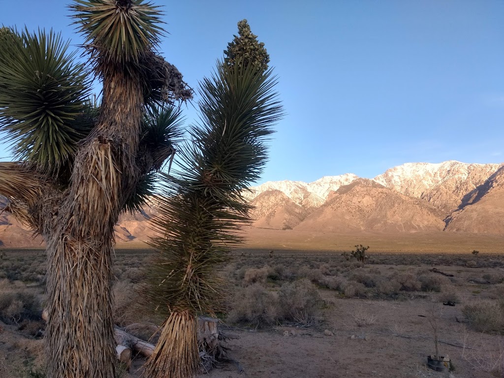 Olancha RV Park & Motel | restaurant | 1075 US-395, Olancha, CA 93549, USA | 7607640023 OR +1 760-764-0023