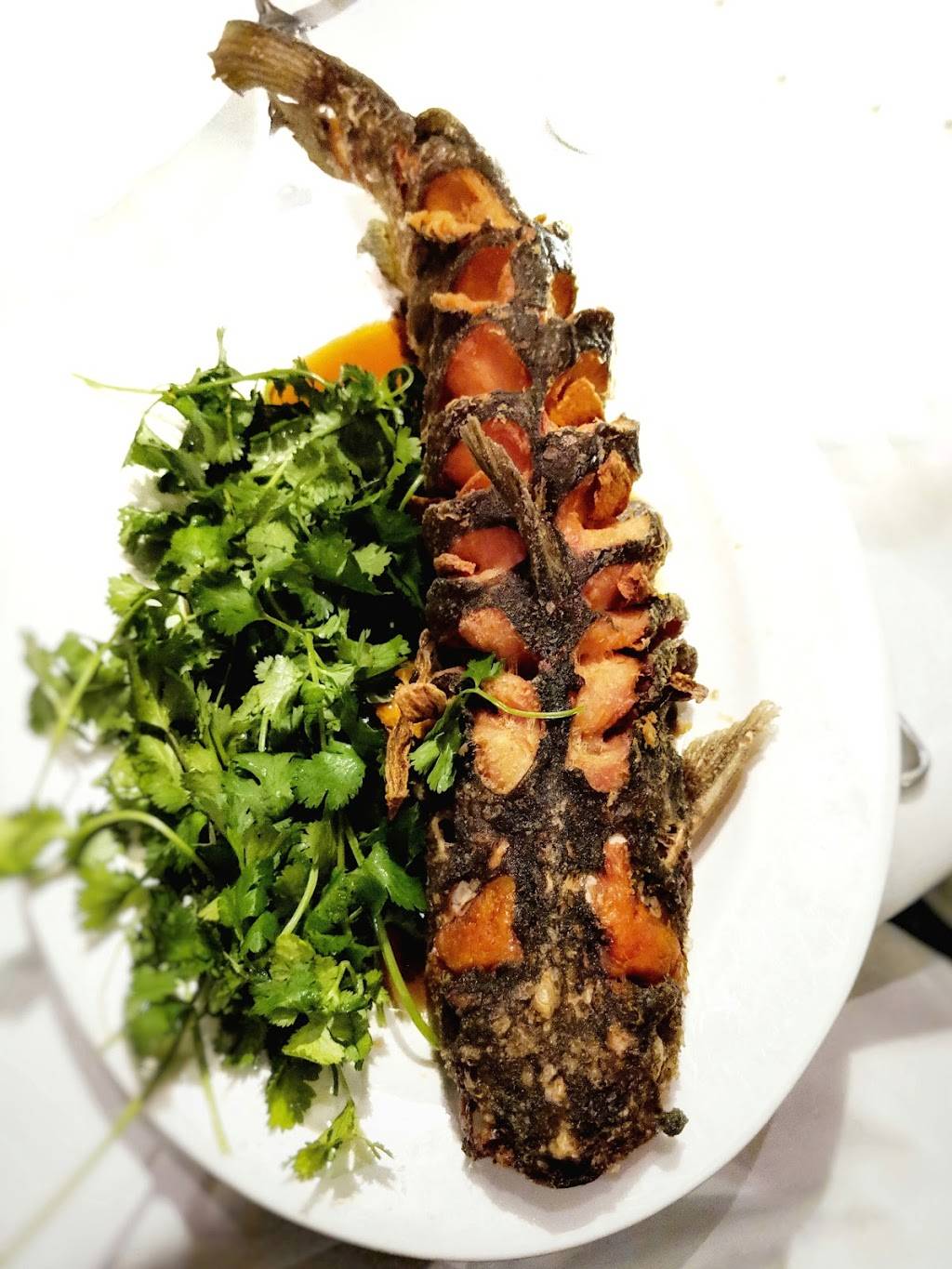 Shiro | restaurant | 1505 Mission St, South Pasadena, CA 91030, USA | 6267994774 OR +1 626-799-4774