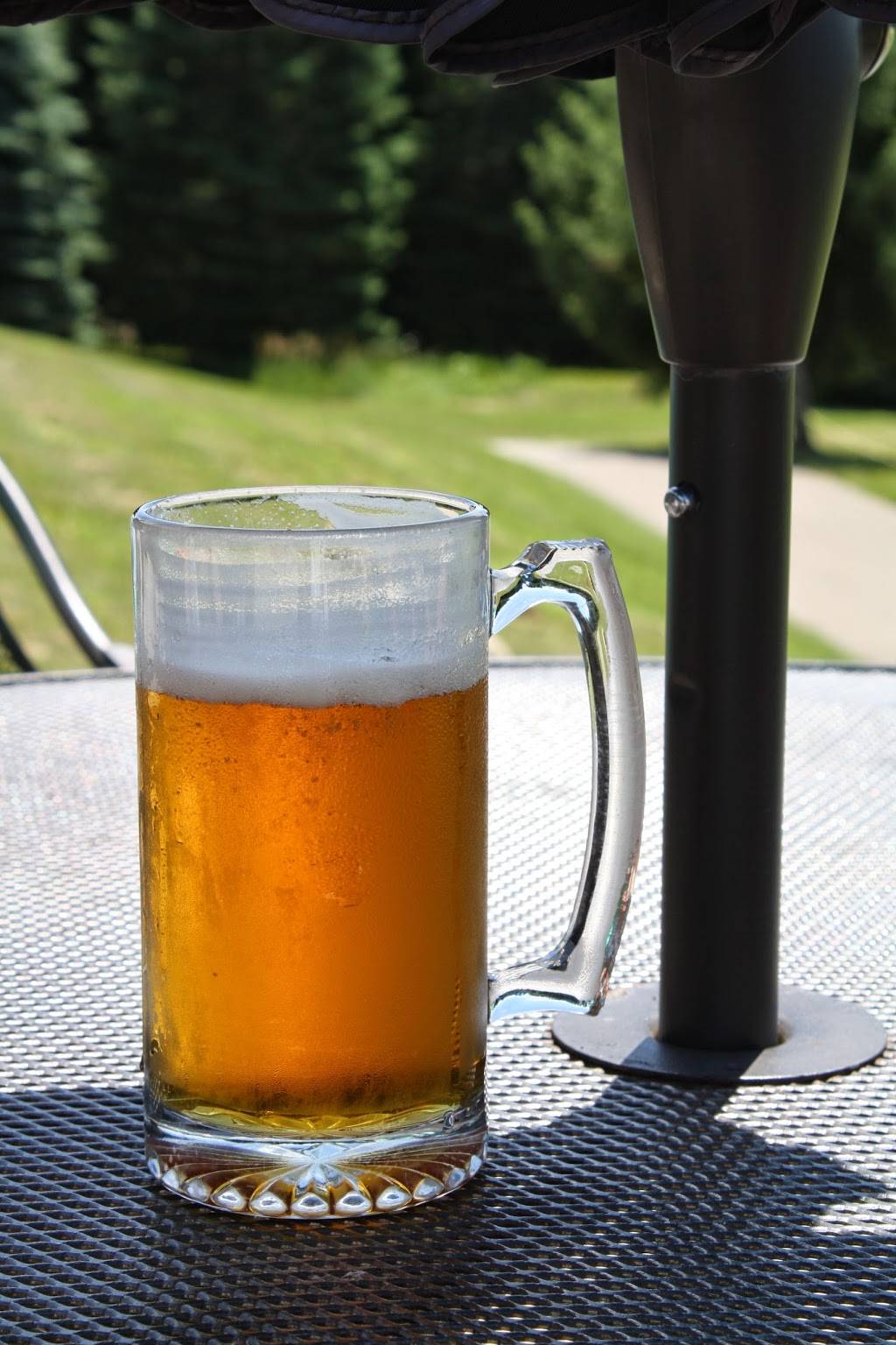 LYNX GC | restaurant | 900 Lincoln Rd, Otsego, MI 49078, USA | 2696945969 OR +1 269-694-5969