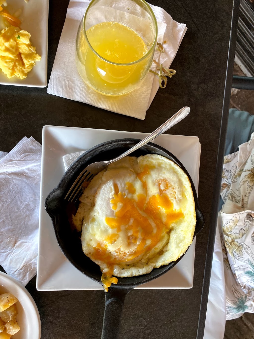 Brew Fish Bar & Grill | restaurant | 200 E W McNab Rd, Pompano Beach, FL 33060, USA | 9545742894 OR +1 954-574-2894