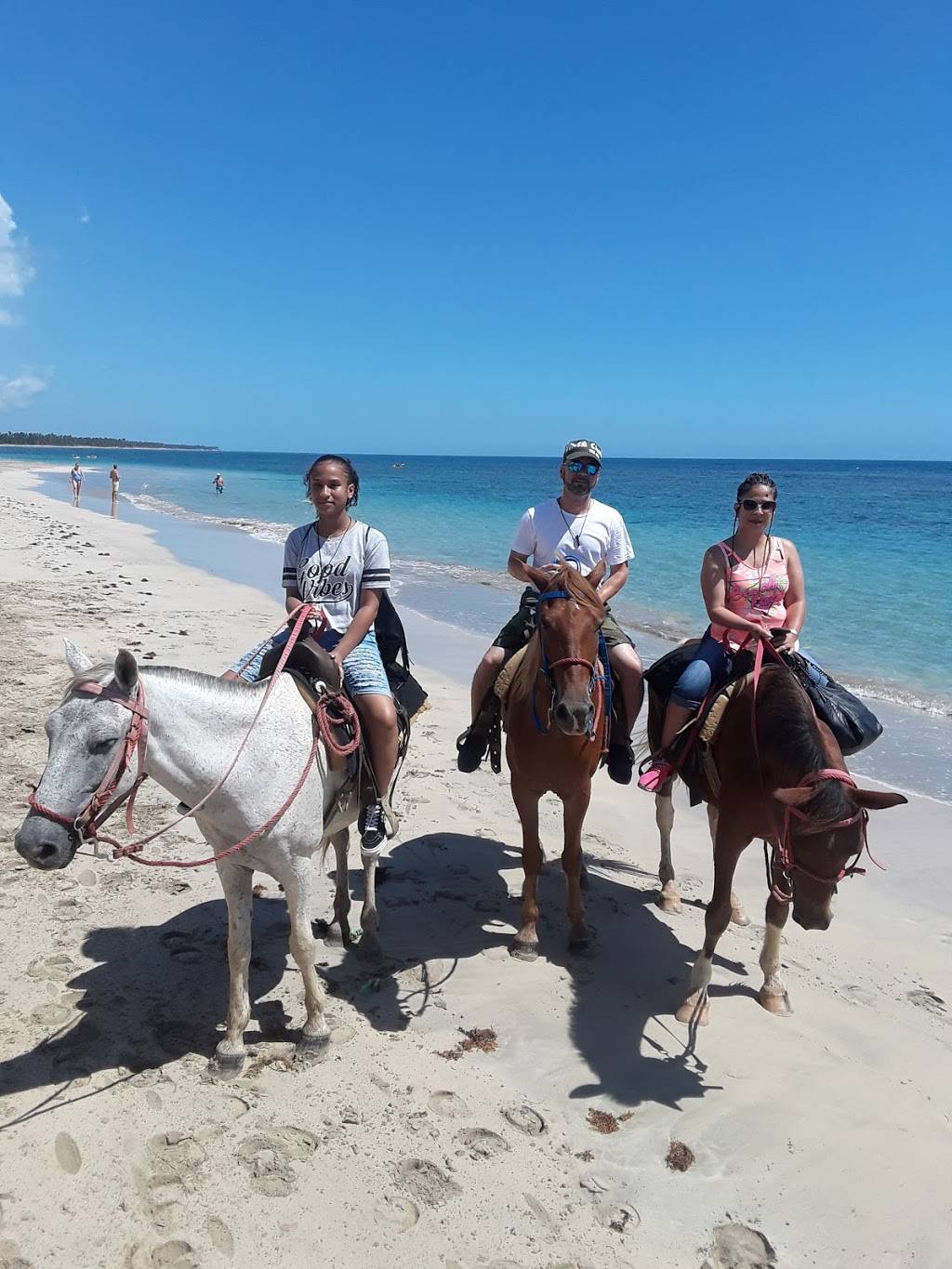 Ho May House | restaurant | 4401 N 5th St, Philadelphia, PA 19140, USA | 2153241171 OR +1 215-324-1171