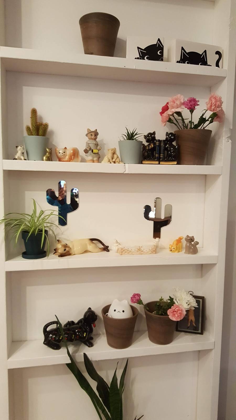 The Catio | restaurant | 1603 Riverside Dr, Nashville, TN 37216, USA | 6156005954 OR +1 615-600-5954