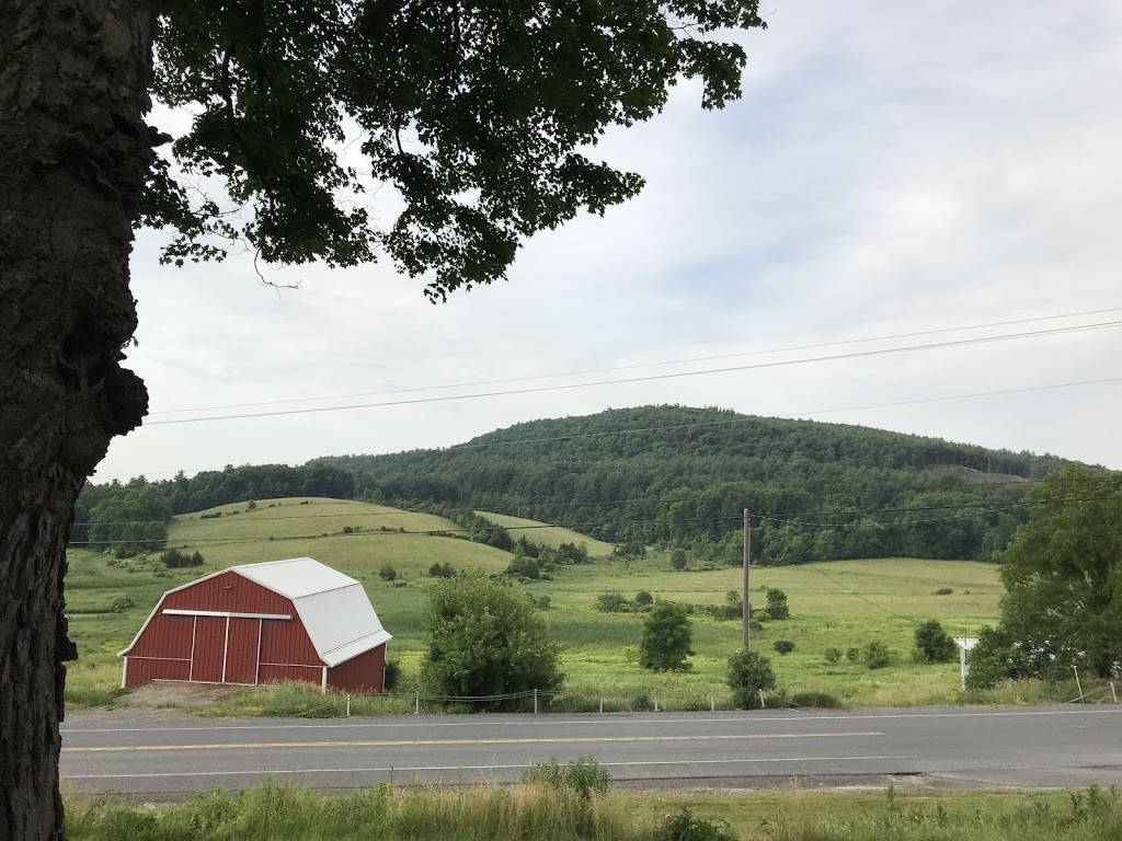 Cottage 81 | cafe | 1008 NY-81, Climax, NY 12042, USA | 5189660095 OR +1 518-966-0095