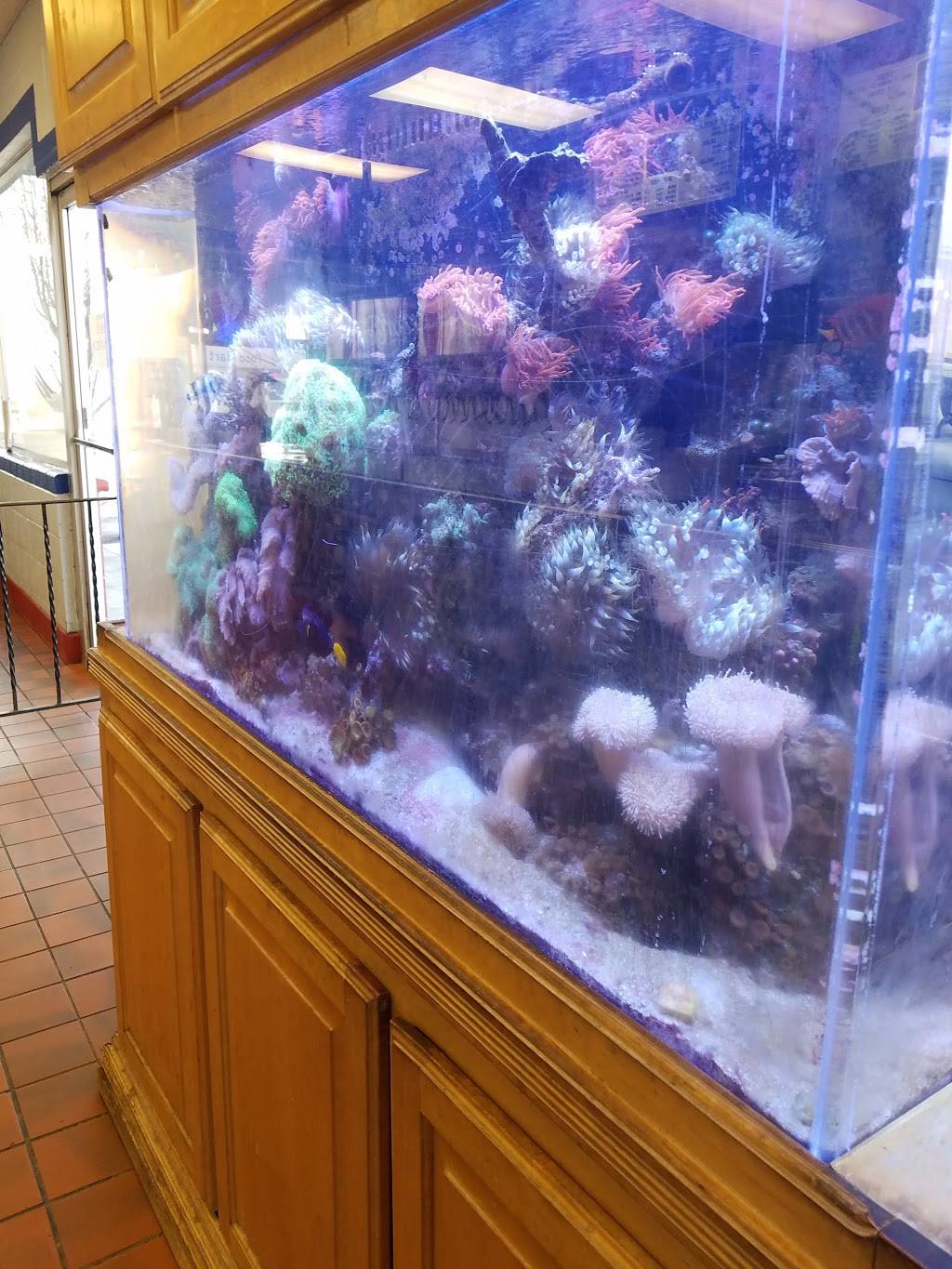 Little Acorn | restaurant | 2600 E Canyon Rd, Spanish Fork, UT 84660, USA | 8017983143 OR +1 801-798-3143