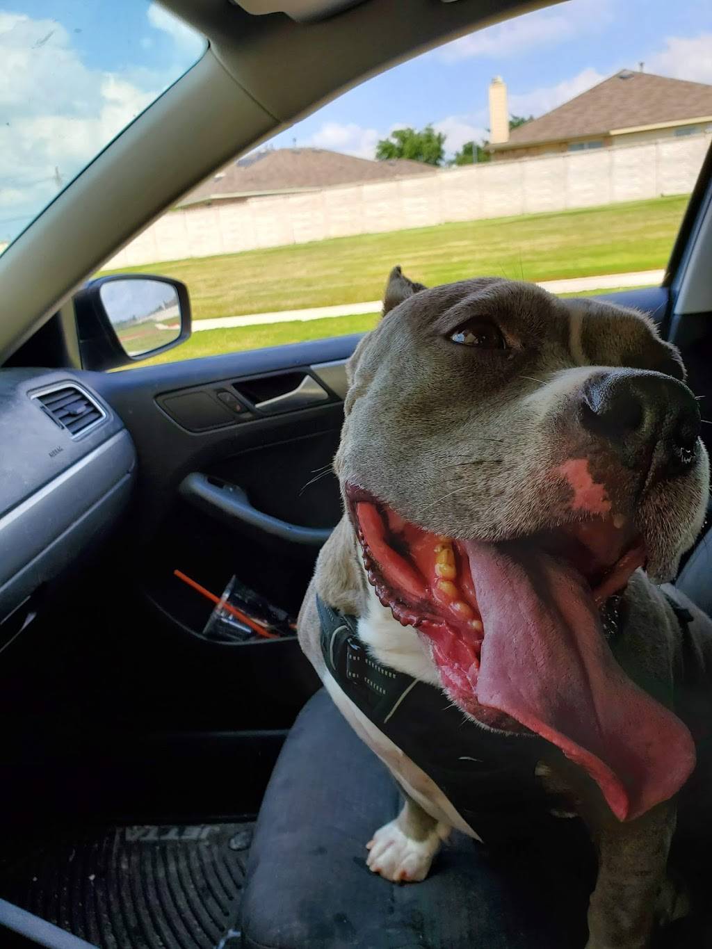 Smoothie King Grand Prairie | meal delivery | 1205 Arkansas Ln #200, Grand Prairie, TX 75052, USA | 9726415464 OR +1 972-641-5464