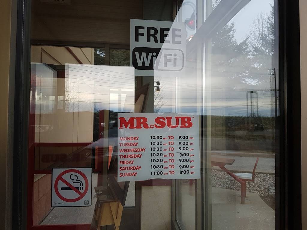 Mr.Sub | restaurant | 336 Yonge St, Barrie, ON L4N 4C8, Canada | 7057217828 OR +1 705-721-7828