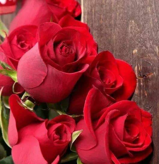 Lyra | restaurant | 935 W Eastland Ave, Nashville, TN 37206, USA | 6159288040 OR +1 615-928-8040