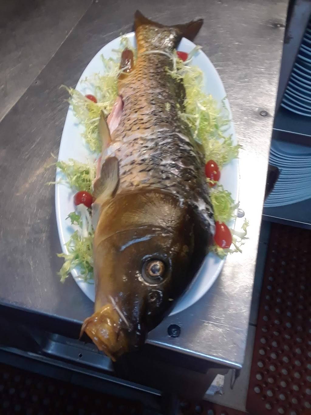 Tanino Ristorante Bar | restaurant | 1043 Westwood Blvd, Los Angeles, CA 90024, USA | 3102080444 OR +1 310-208-0444