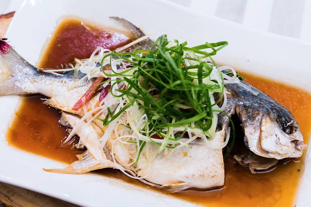 Hus Cooking | restaurant | 2502 W Holcombe Blvd, Houston, TX 77030, United States | 7136600020 OR +1 713-660-0020