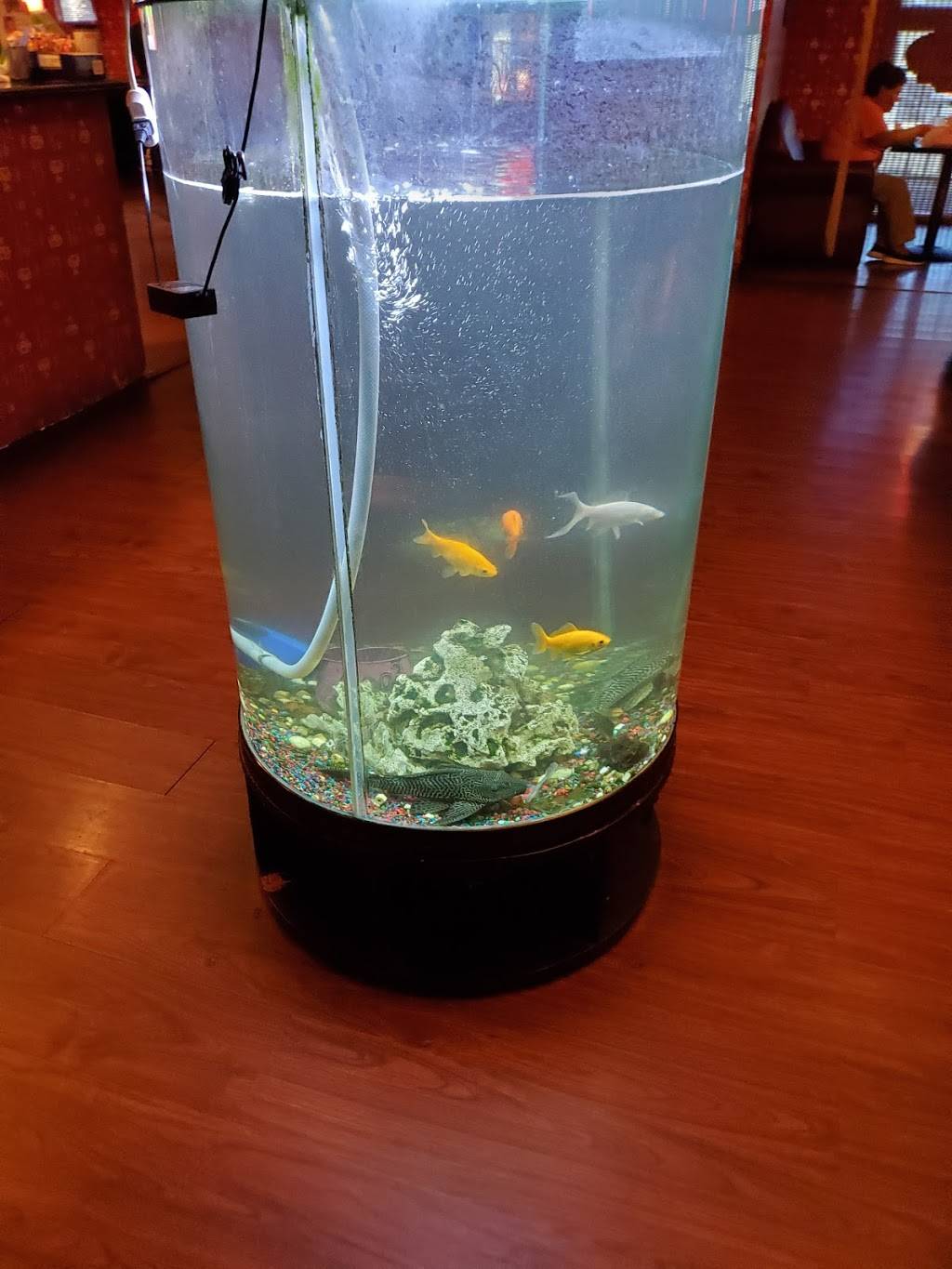 Sams China Bistro | restaurant | 9225 Dyer St, El Paso, TX 79924, USA | 9157511838 OR +1 915-751-1838