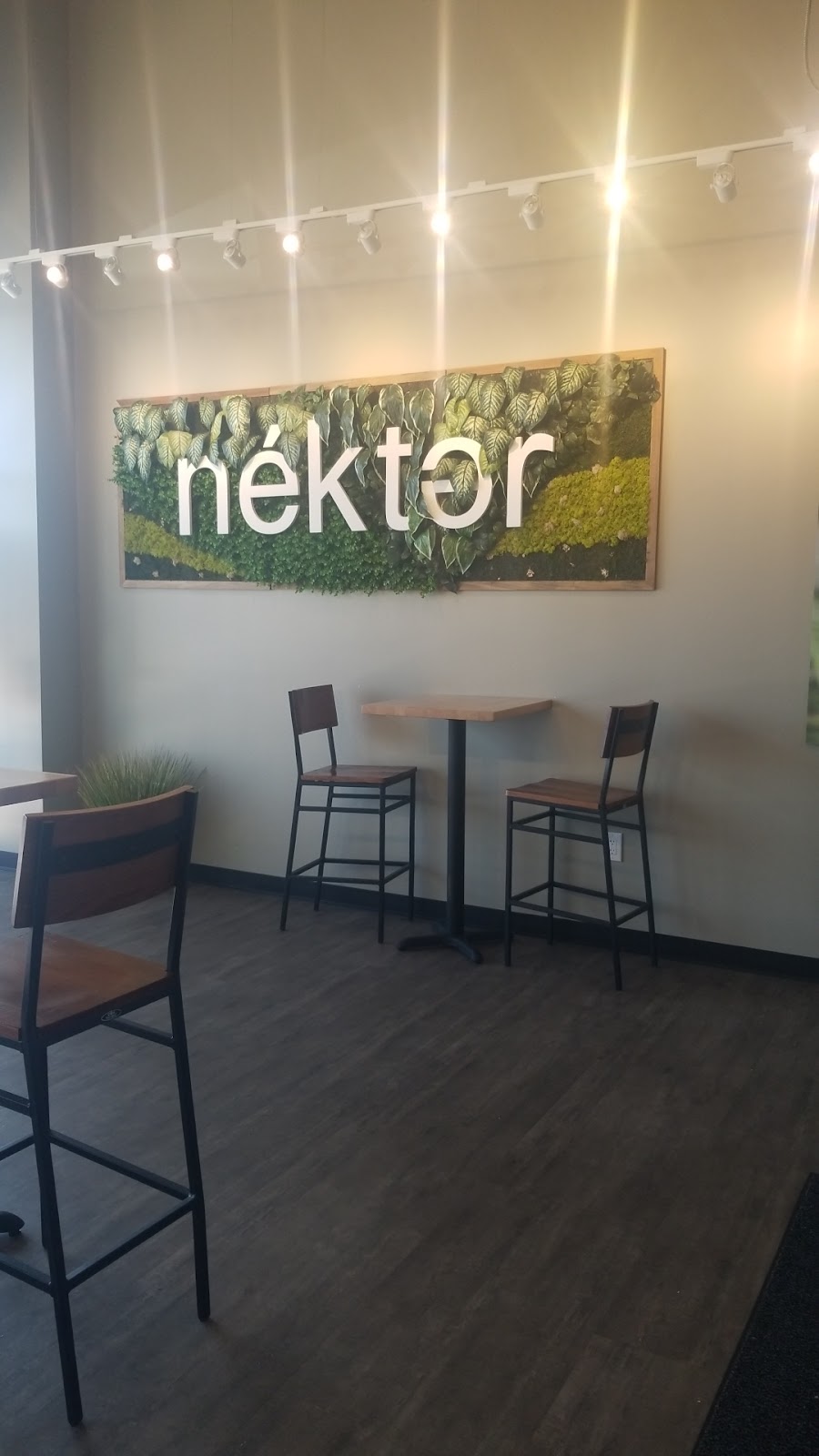 Nekter Juice Bar | cafe | 5866 S Wadsworth Blvd, Littleton, CO 80123, USA | 3039532867 OR +1 303-953-2867