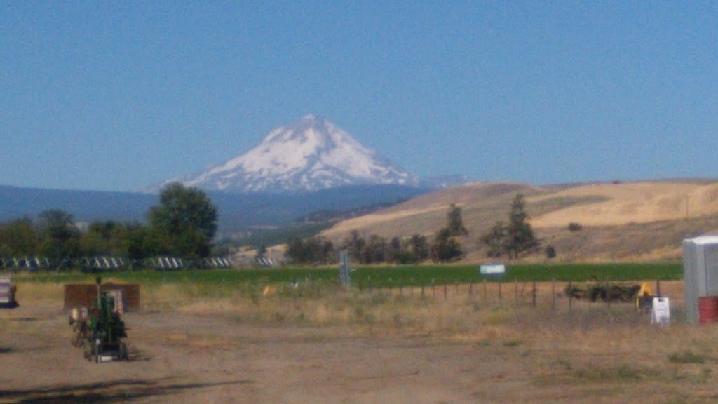 Dufur Pastime Saloon & Restaurant | restaurant | 25 Heimrich St, Dufur, OR 97021, USA | 5414679248 OR +1 541-467-9248