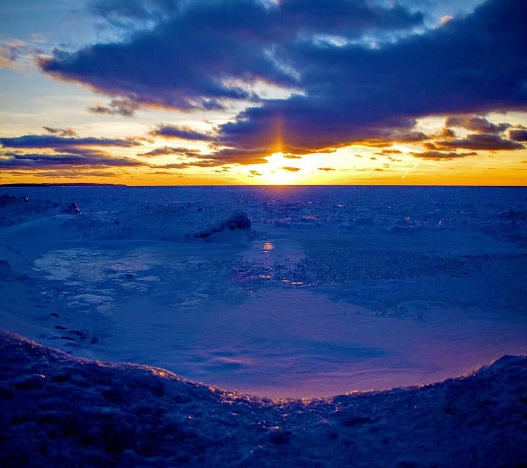 Eilat | restaurant | 9725 64th Rd, Flushing, NY 11374, USA | 7184591200 OR +1 718-459-1200