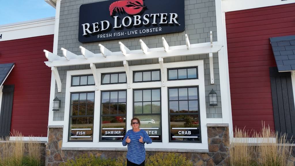 Red Lobster | restaurant | 1280 Highway, 14th St SW, Rochester, MN 55902, USA | 5072880688 OR +1 507-288-0688