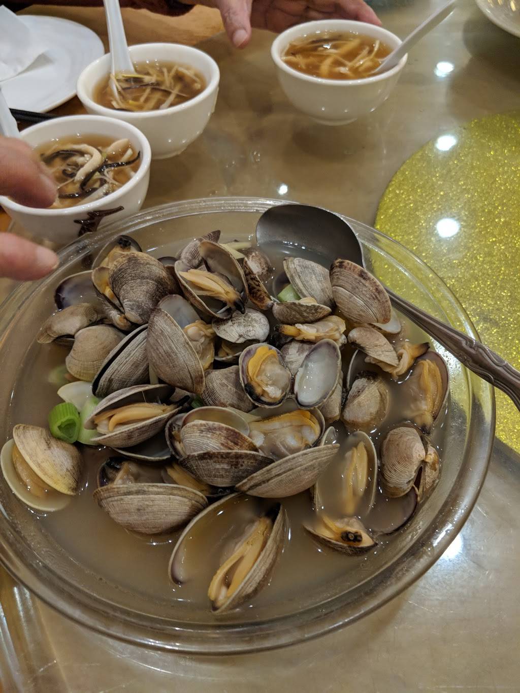 Saigon Seafood Harbor Restaurant | restaurant | 3150 Pierce St, Richmond, CA 94804, USA | 5105599388 OR +1 510-559-9388