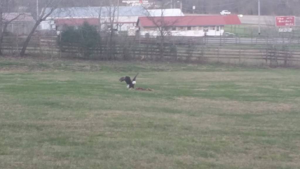 Ricks Bar-B-Que | restaurant | 1522 US-79, Dover, TN 37058, USA | 9312327217 OR +1 931-232-7217