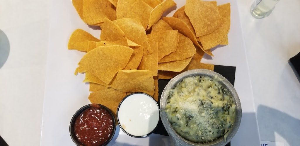 Ocean One Bar and Grille | restaurant | 14851 Lyons Rd, Delray Beach, FL 33446, USA | 5615655501 OR +1 561-565-5501