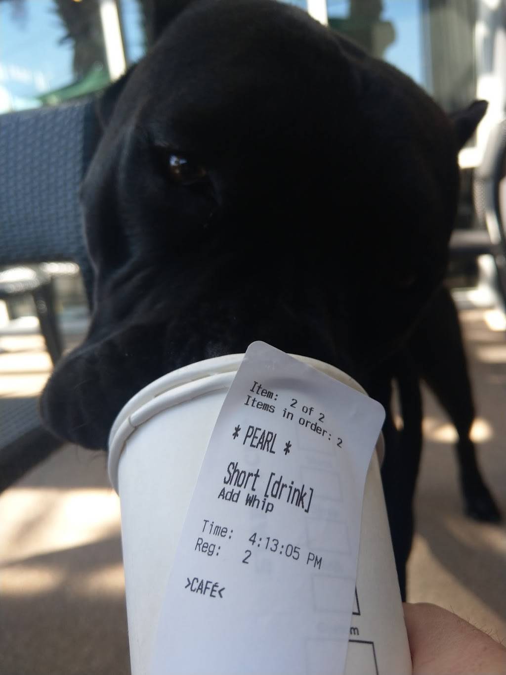 Starbucks | cafe | 11441 San Jose Blvd, Jacksonville, FL 32223, USA | 9044510956 OR +1 904-451-0956