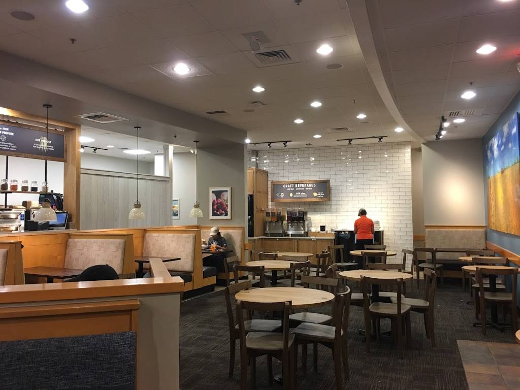 Panera Bread | cafe | 370-420 West Army Trail Road, Bloomingdale, IL 60108, USA | 6303519053 OR +1 630-351-9053