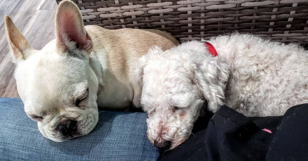 Pickles Playland | restaurant | 12669 NE 85th St, Kirkland, WA 98033, USA | 4252984530 OR +1 425-298-4530