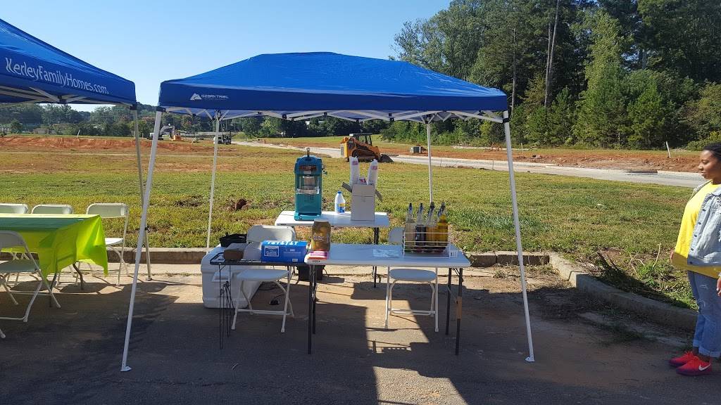 Sno Biz of Powder Springs | restaurant | 1220 Richard D Sailors Pkwy, Powder Springs, GA 30127, USA | 6785599860 OR +1 678-559-9860