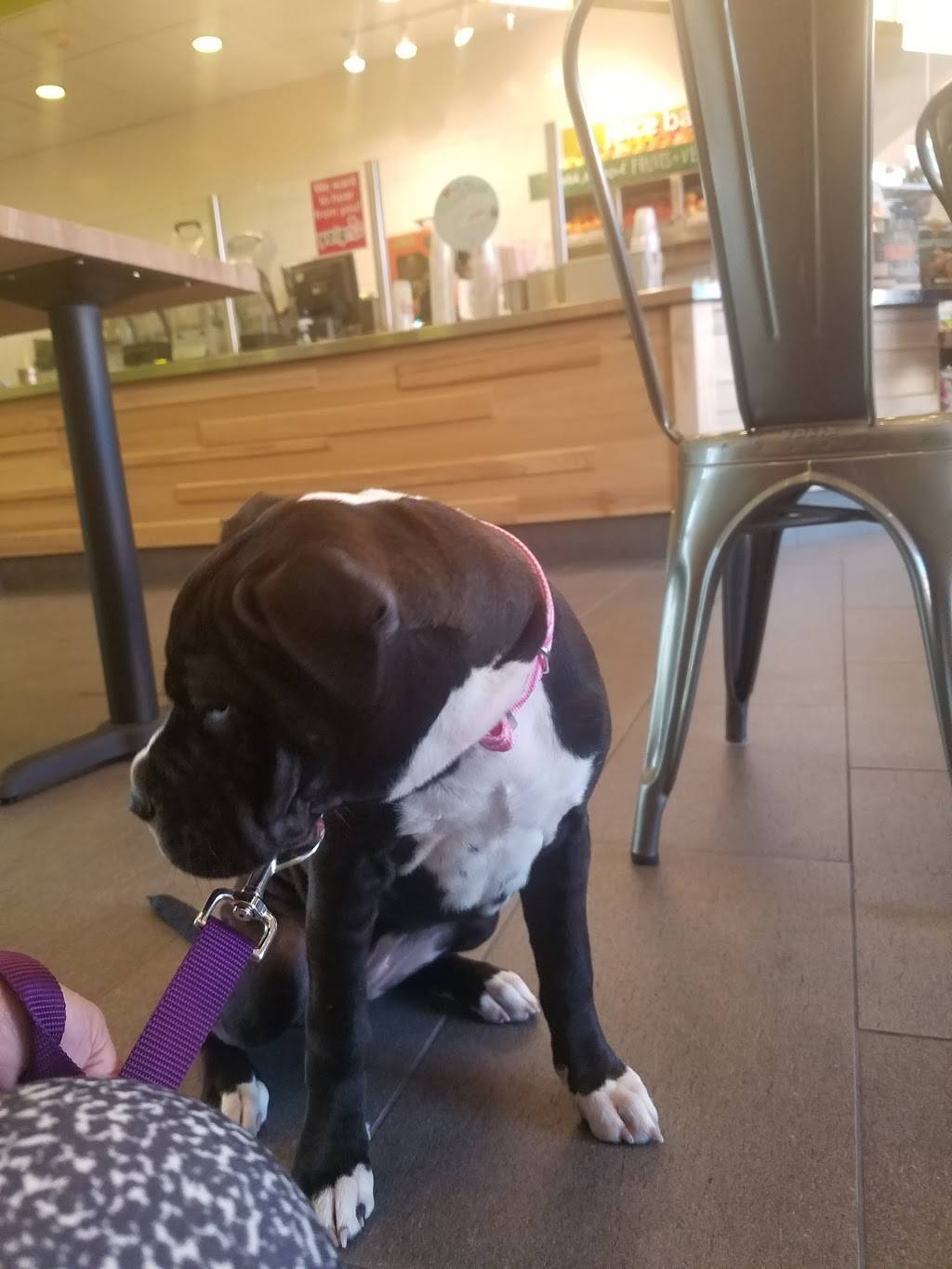 Jamba Juice Hollywood & Western | restaurant | 5453 Hollywood Blvd unit c, Los Angeles, CA 90027, USA | 3239623279 OR +1 323-962-3279