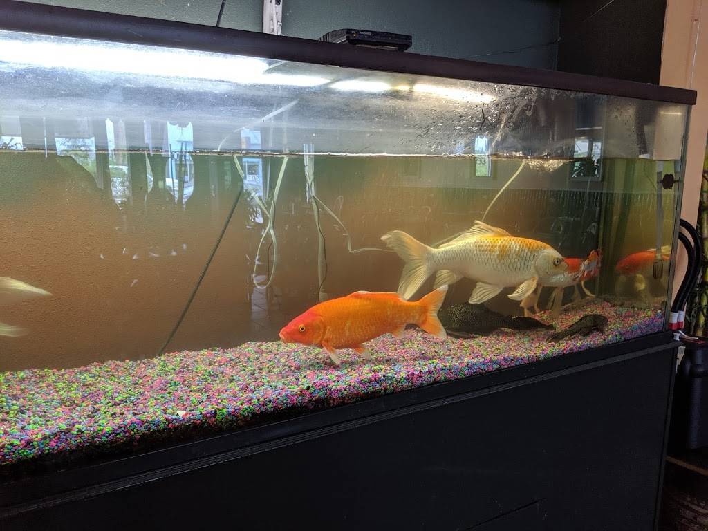 Le-Le M.L.K Restaurant | restaurant | 1012 M.L.K. Jr Way, Tacoma, WA 98405, USA | 2535729491 OR +1 253-572-9491