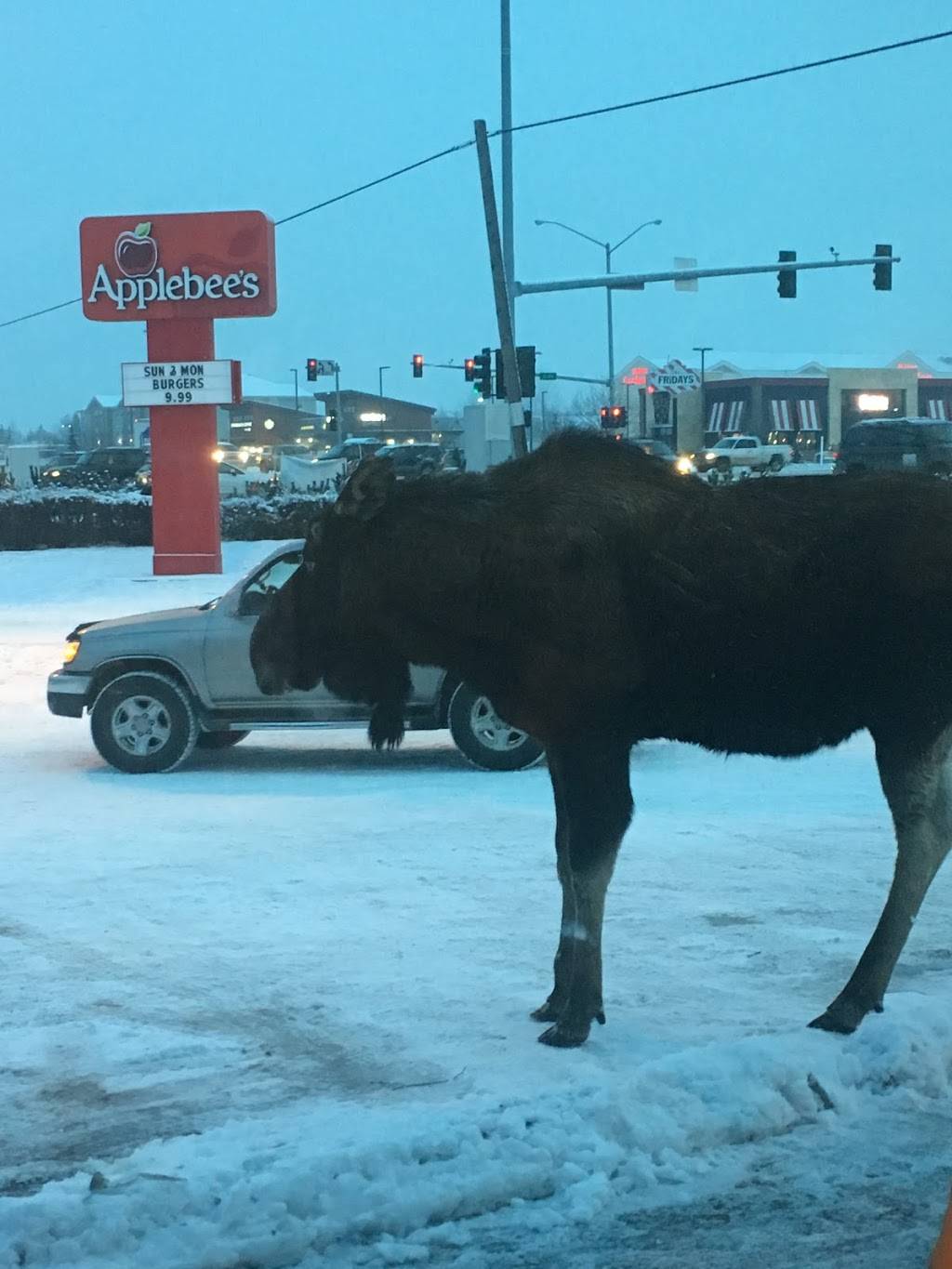 Applebees Grill + Bar | restaurant | 4331 Credit Union Dr, Anchorage, AK 99503, USA | 9072227753 OR +1 907-222-7753