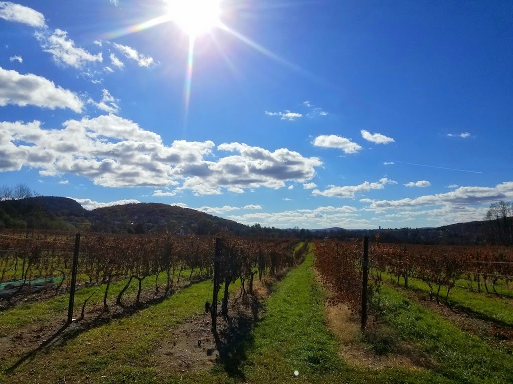 Océane Vineyards and Winery | meal takeaway | 1661 Kings Hwy, Chester, NY 10918, USA | 8456105454 OR +1 845-610-5454