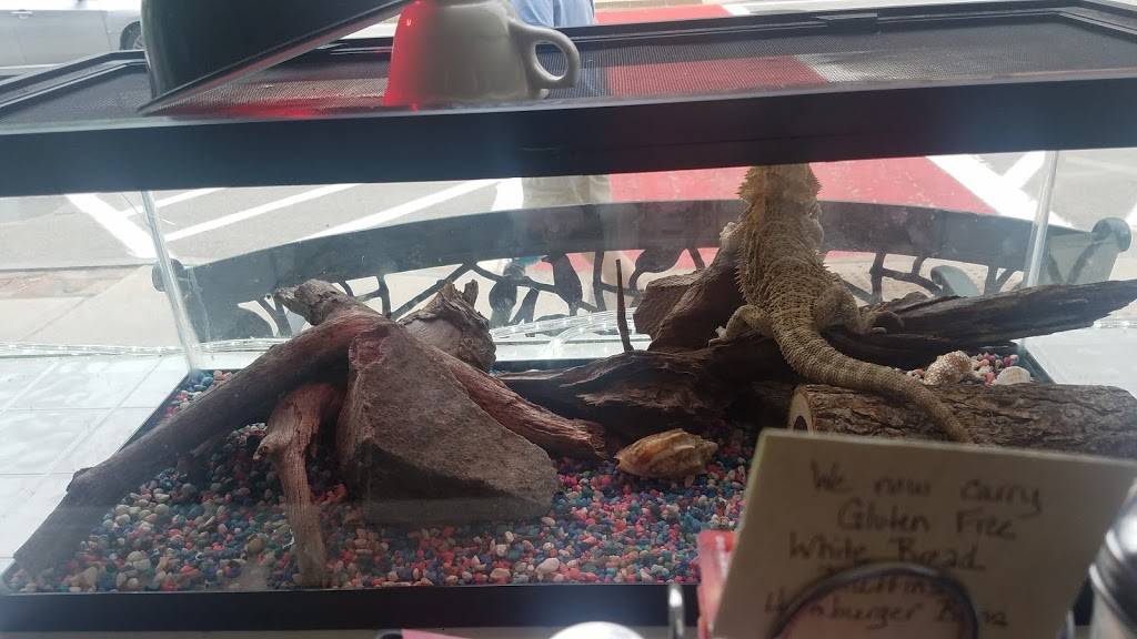 Garys Harvest Restaurant | restaurant | 35 Main St, Wilton, NH 03086, USA | 6036549969 OR +1 603-654-9969