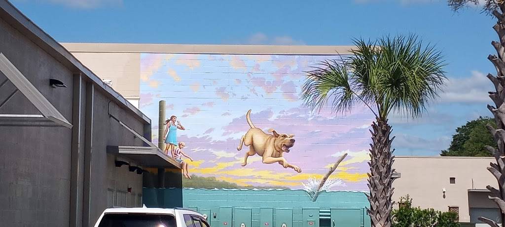 Come Back Shack | restaurant | 1132 Bowman Rd, Mt Pleasant, SC 29464, USA | 8439600083 OR +1 843-960-0083