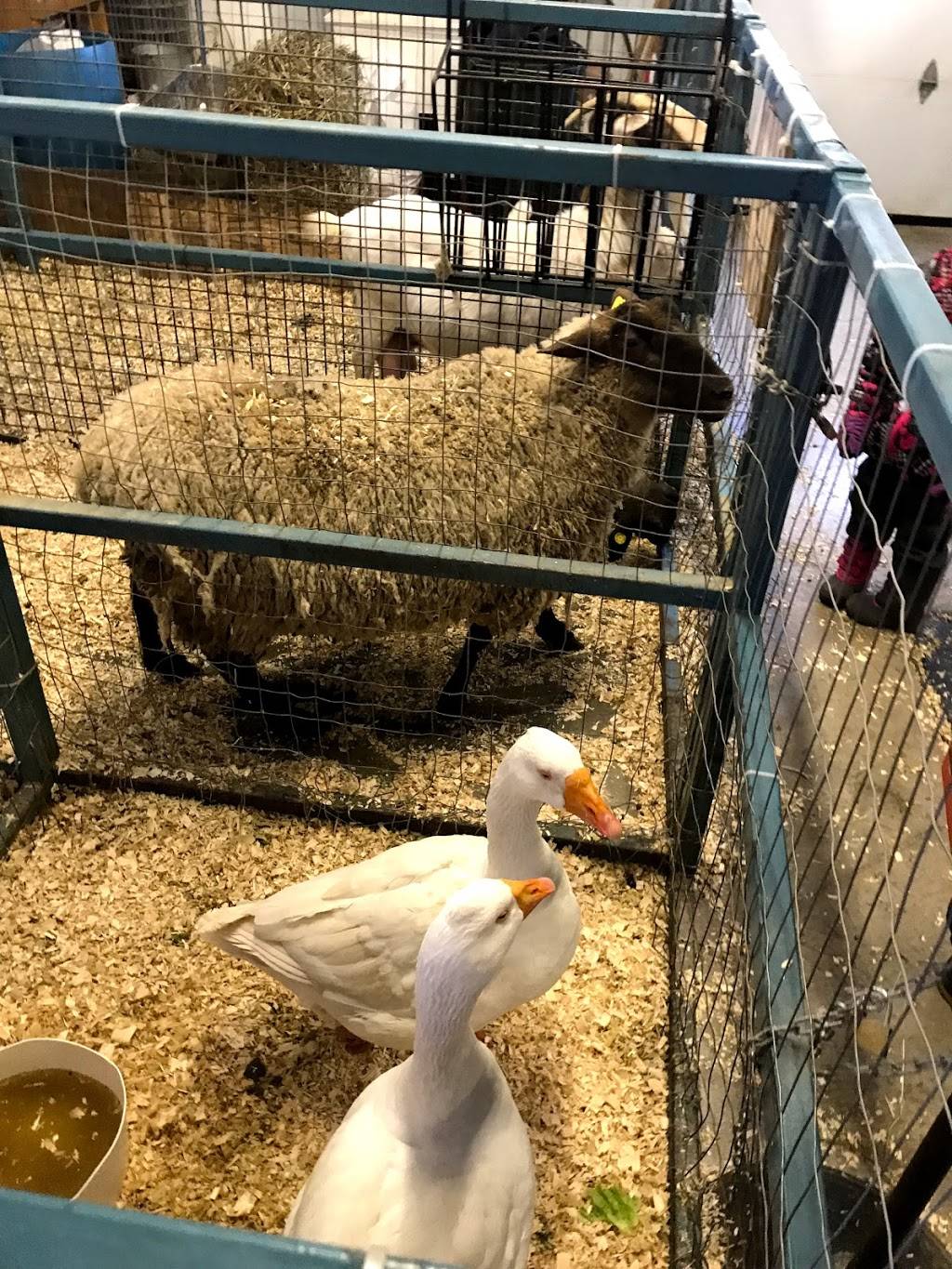 Érablière Raymond Meunier & Fils | restaurant | 325 Rang des Cinquante-Quatre, Richelieu, QC J3L 6R5, Canada | 4503470757 OR +1 450-347-0757