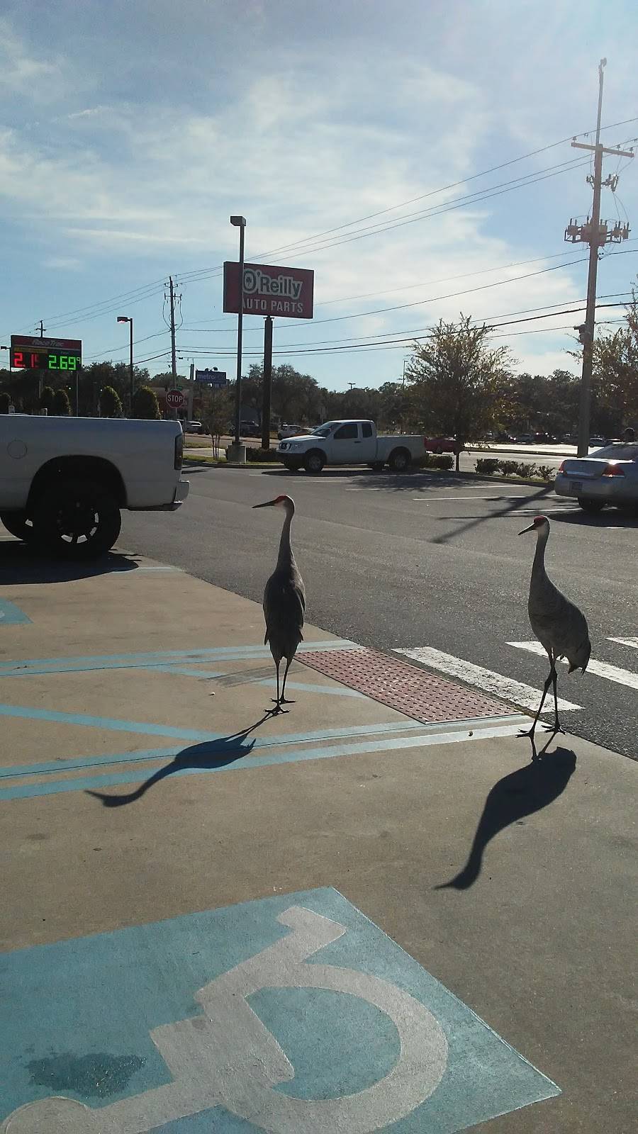 RaceTrac | cafe | 1722 James L Redman Pkwy, Plant City, FL 33563, USA | 8137521247 OR +1 813-752-1247