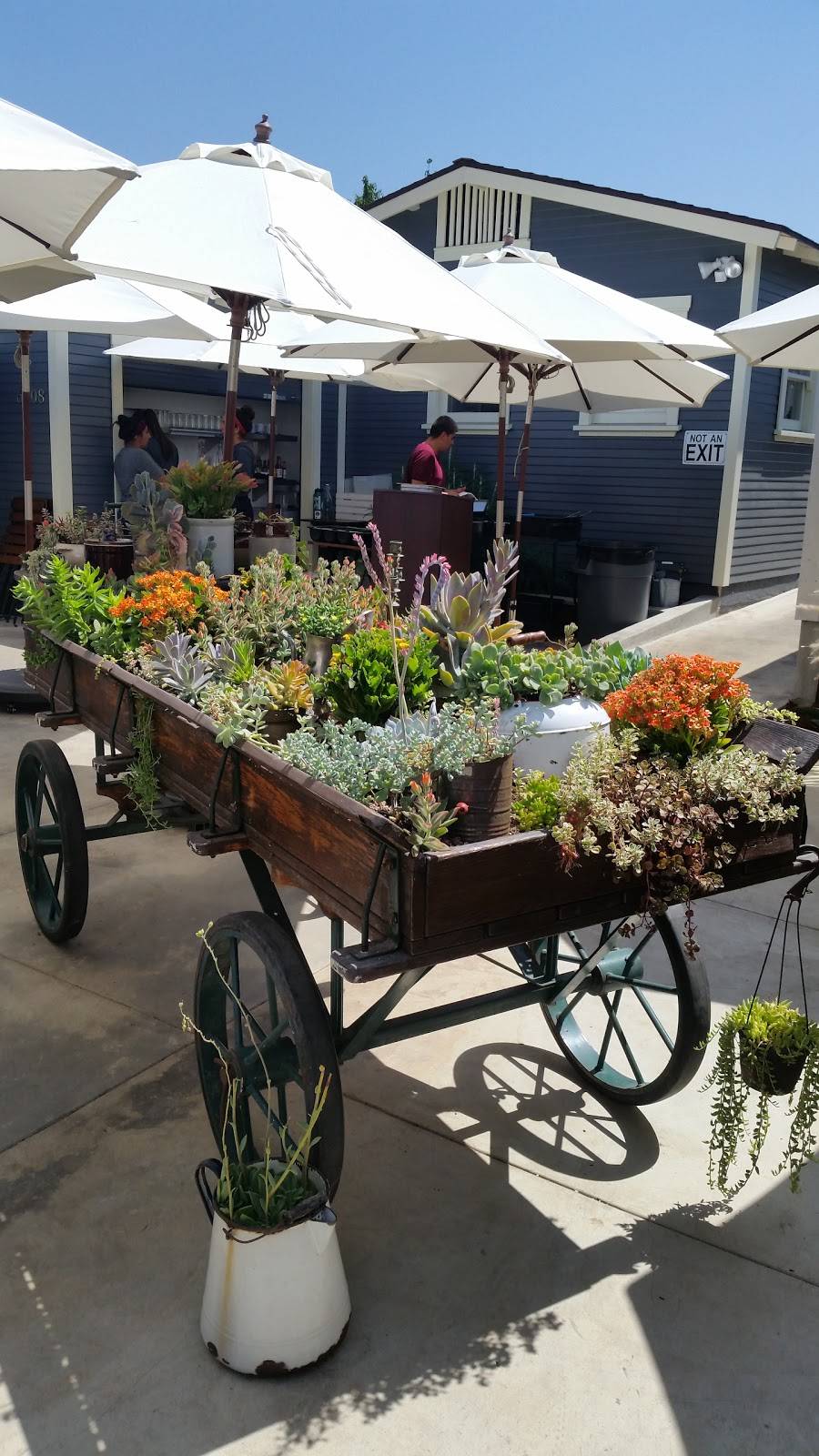 Winchells Donut House | cafe | 6502 Greenleaf Ave, Whittier, CA 90601, USA | 5626985719 OR +1 562-698-5719