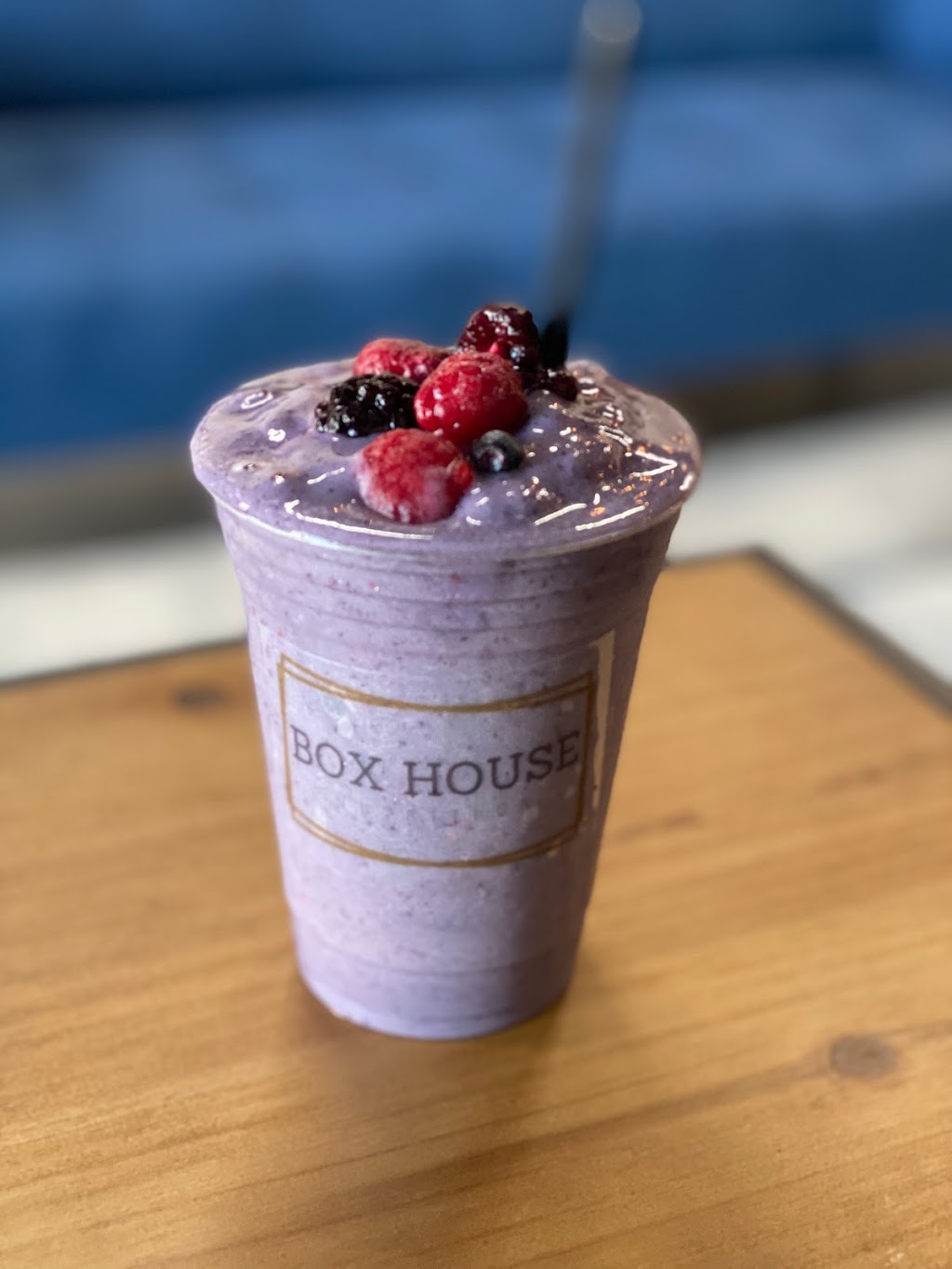 Box House Nutrition | cafe | 37490 US Hwy 19 N, Palm Harbor, FL 34684, USA | 8134015656 OR +1 813-401-5656