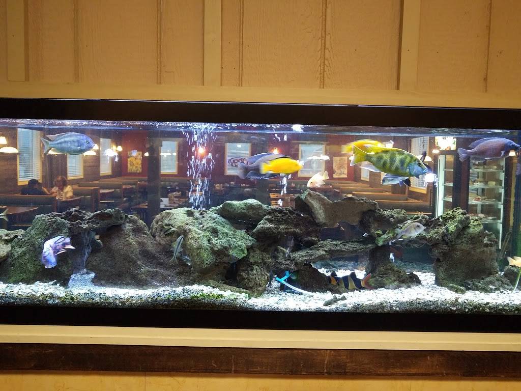 Spring House Grille | restaurant | 7664 Woodbury Pike, Roaring Spring, PA 16673, USA | 8142245309 OR +1 814-224-5309