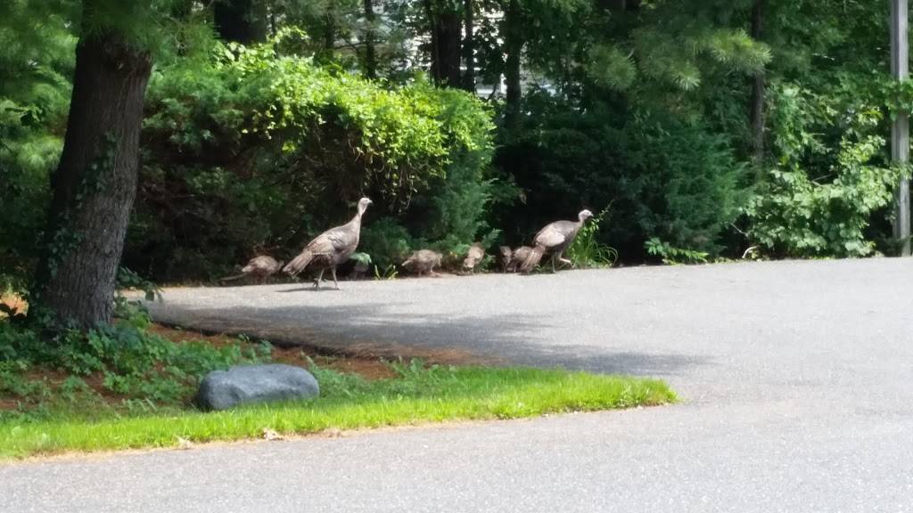 Silvers | restaurant | 15 Main St, Southampton, NY 11968, USA | 6312836443 OR +1 631-283-6443