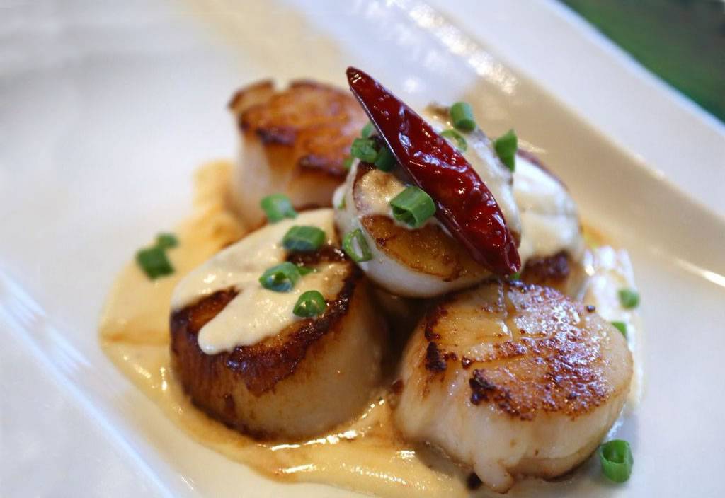 Javiers Restaurant - Newport Beach | restaurant | 7832 Pacific Coast Hwy, Newport Beach, CA 92657, USA | 9494941239 OR +1 949-494-1239