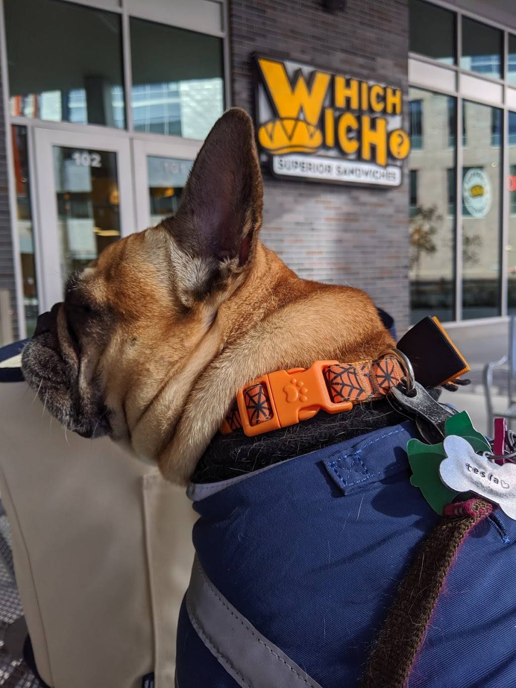 Which Wich Superior Sandwiches | restaurant | 601 P St, Lincoln, NE 68508, USA | 4024350008 OR +1 402-435-0008